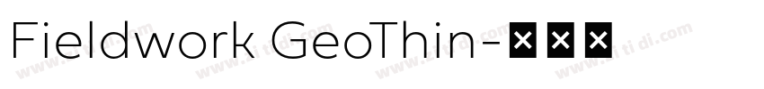 Fieldwork GeoThin字体转换
